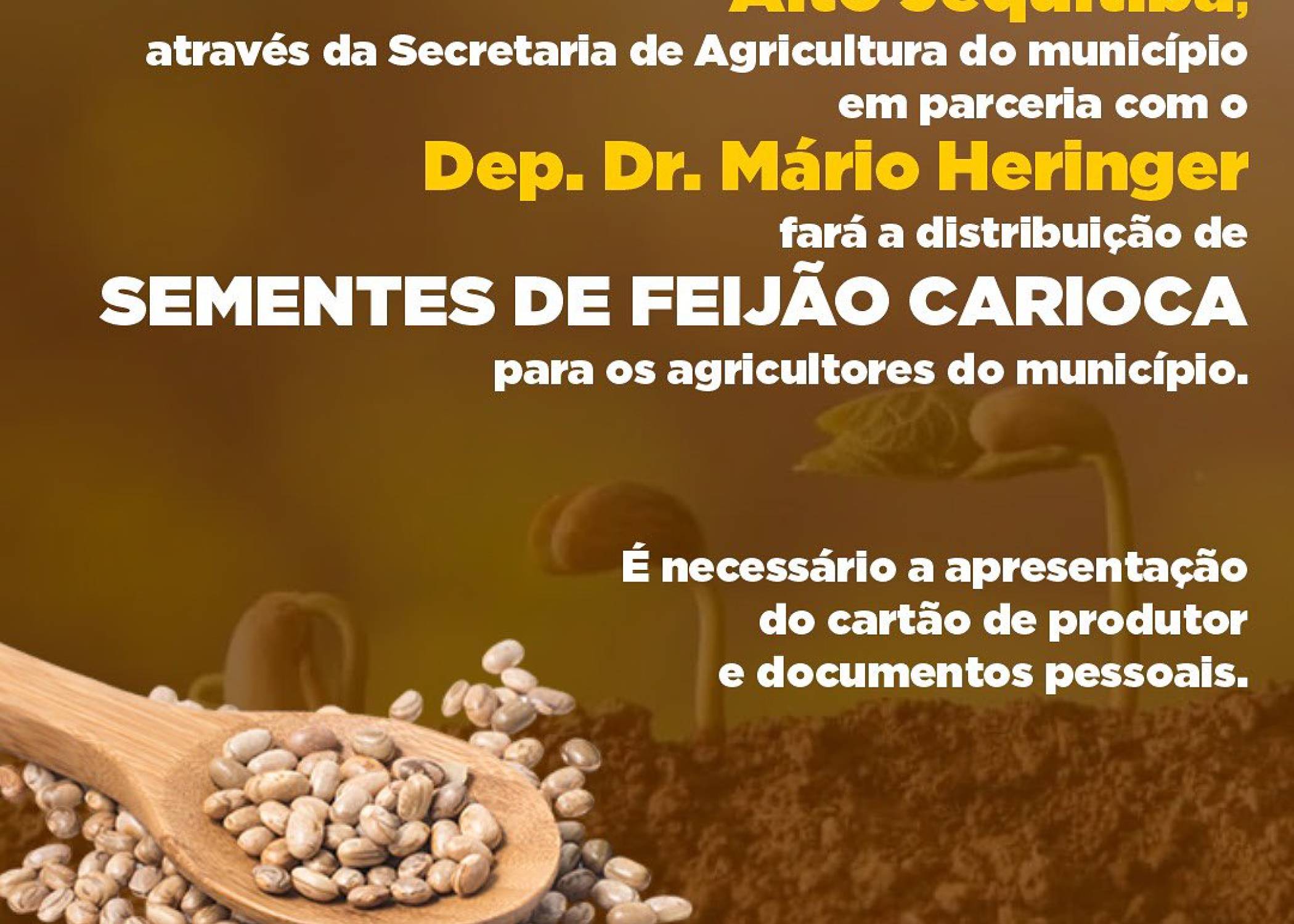 Distribuição de Sementes de Feijão Carioca